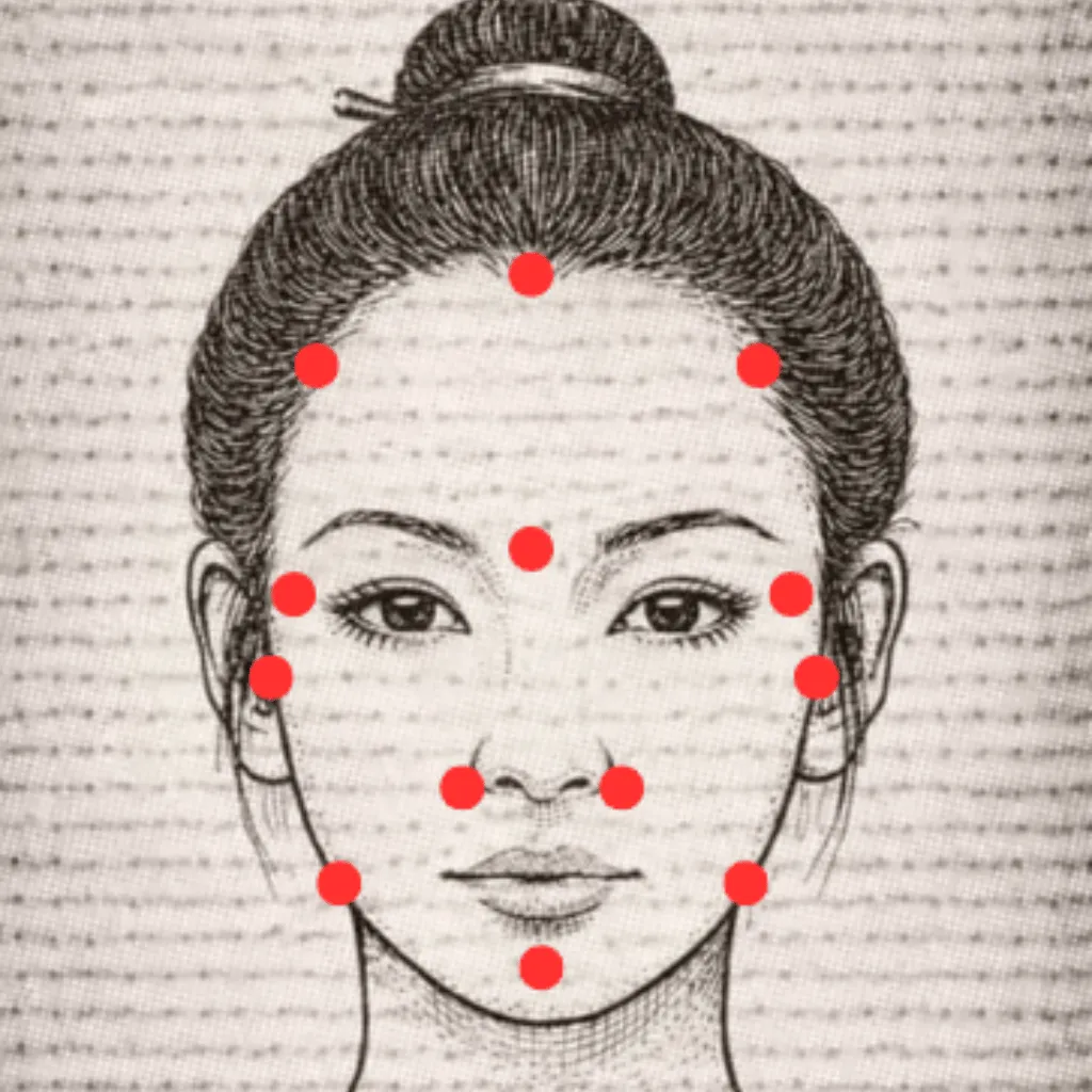 Ilustração orientativa do mapa de pontos de acupressão facial
